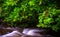 Cascades on Mingus Creek, at Great Smoky Mountains National Park