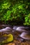 Cascades on Mingus Creek, at Great Smoky Mountains National Park