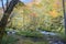 Cascades of mysterious Oirase Stream flowing through beautiful autumn forests