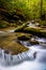 Cascades on a stream in a lush forest in Holtwood, Pennsylvania.