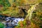 Cascades under wooden bridge on mountain stream, with mossy rocks in Tollymore Forest Park