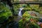 Cascades under wooden bridge on mountain stream, with mossy rocks in Tollymore Forest Park