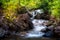 Cascading brook.