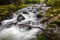 Cascading creek in Tollymore Park