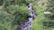 Cascading Mountain Stream Tumbles Through Wildflowers and Pine Trees