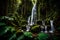 A cascading, multi-tiered waterfall hidden within the depths of a lush, untouched rainforest