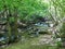 Cascading river with beautiful river thresholds near the forest trail in the green spring forest. Crimean mountains at spring