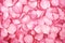 Cascading Rose Petals Valentine Day background