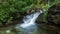 Cascading spring river in a green forest