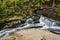 Cascading Stream in Mountain Forest