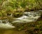 Cascading stream in Smokey Mountains National Park