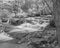 Cascading stream in Smokey Mountains National Park in Black and White