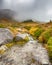 Cascading Stream, Wonderland Trail, Mount Rainier National Park, WA