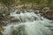 Cascading Tartagine river in Corsica