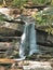 Cascading Water at Hanging Rock`s Window Falls