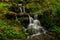 Cascading Water in Rainbow Springs