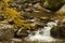 Cascading water with yellow leaves