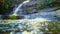 Cascading waterfall in the Australian bush untouched and natural