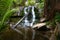 Cascading waterfall In forest