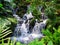 Cascading waterfall in jungle setting