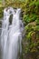 Cascading waterfall with lush mossy rocks and fern plants