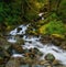 Cascading Waterfalls, Washington State