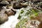 Cascading waters (Lamington Park, QLD, Australia)