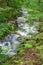 Cascading Wild Mountain Trout Stream