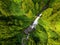 Cascata do Grena, a waterfall located in Grena park on San Miguel, Portugal