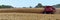 CASE INTERNATIONAL 1666 combine harvesting corn panorama