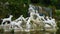 CASERTA, NAPLES, ITALY - OCTOBER 17, 2015. Caserta Royal Palace, statues and reflections in the gardens