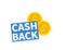 Cash Back icon. Isolated on white background. Cashback or money refund label. Vector illustration.