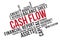 CASH FLOW word cloud collage, business concept background