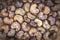 Cashew - bowl filled of raw nuts in the shell