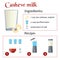 Cashew milk vector recipe