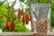 Cashew nuts in the packaging bag with  red ripe fruit