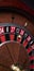 Casino theme. casino roulette, poker game. online casino, bets