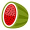 Casino Watermelon Flat Symbol on White