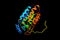 Caspase-3, a caspase protein that interacts with caspase-8 and c