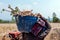 Cassava in basket and planter in manioc planting