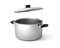 Casserole stewpan stockpot pot saucepan