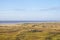 Cassino beach with dunes and vegetation