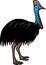 Cassowary