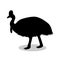 Cassowary bird black silhouette animal