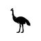 Cassowary silhouette icon. bird logo