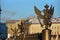 Cast iron eagle on the fence Rostral column on Palace square