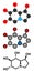 Castanospermine alkaloid molecule. Isolated from Castanospermum australe