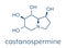 Castanospermine alkaloid molecule. Isolated from Castanospermum australe. Skeletal formula.