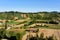 Castell\'Arquato vineyards