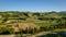 Castell\'Arquato vineyards panorama